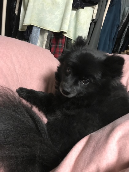 ただいまです