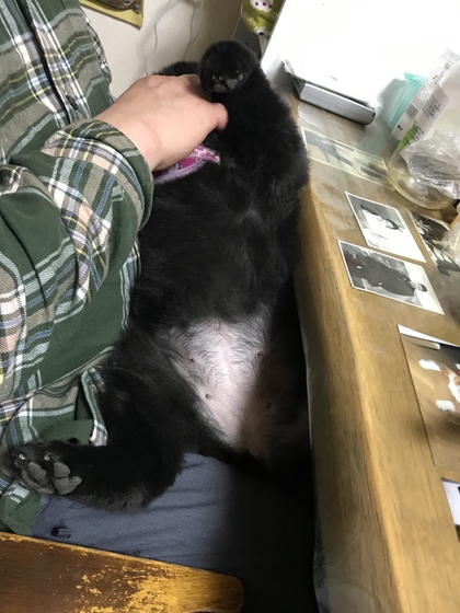 断捨離第一弾