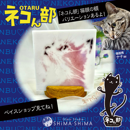 NEW！ネコん部「猫のガラス額」