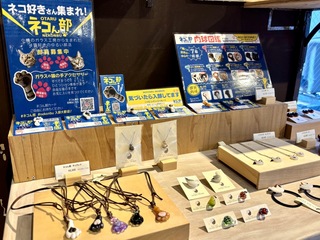 🐾ネコ好きさん集まれ！🐾